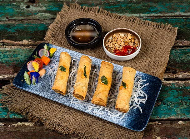 Fried Pork Spring Rolls